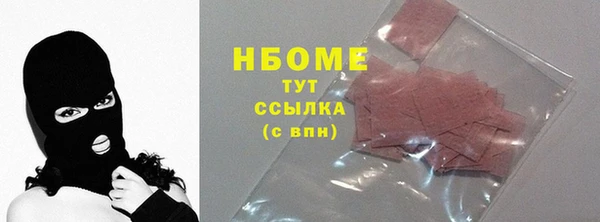 хмурый Няндома