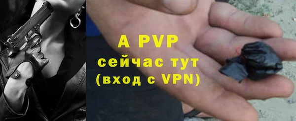 хмурый Няндома