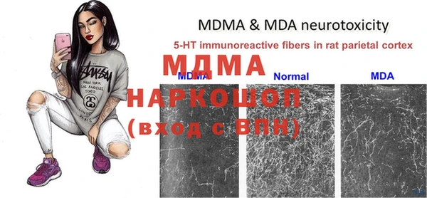 хмурый Няндома