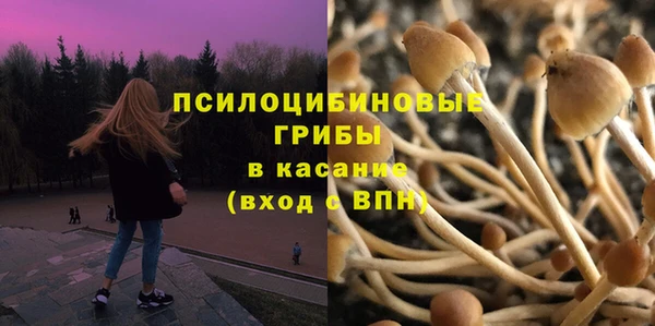 хмурый Няндома
