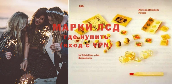 хмурый Няндома