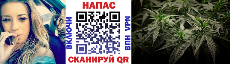 дарнет шоп  Павловская  Каннабис план 